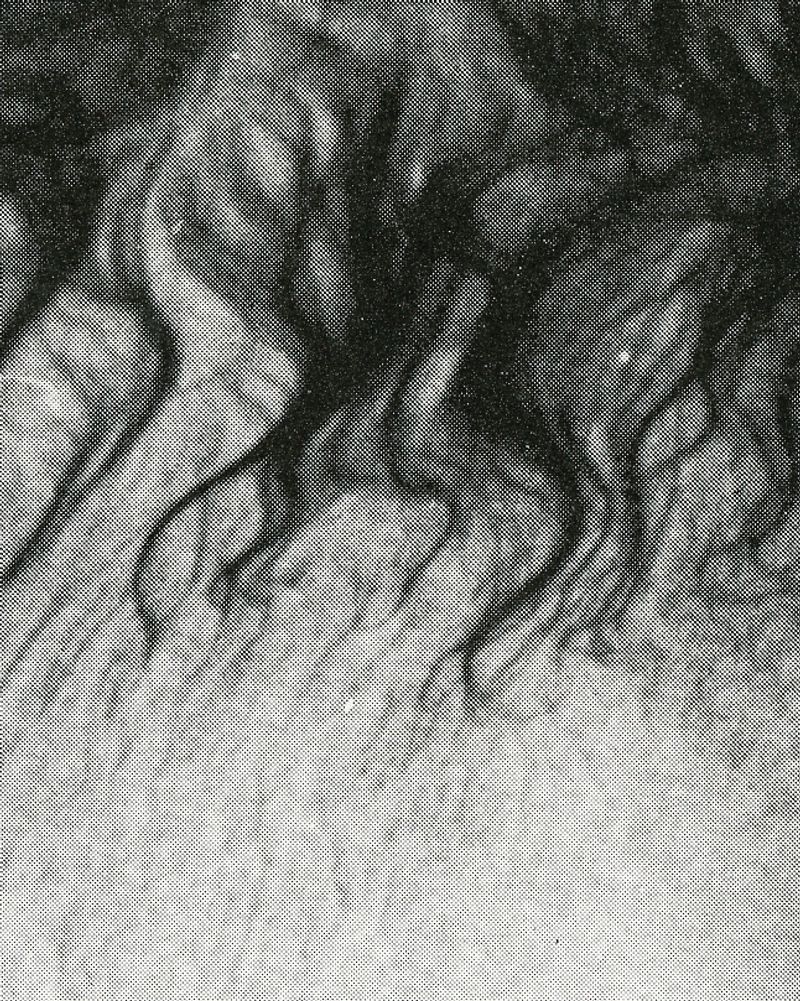 © Jordan Madge - Image from the Red Herring  photography project