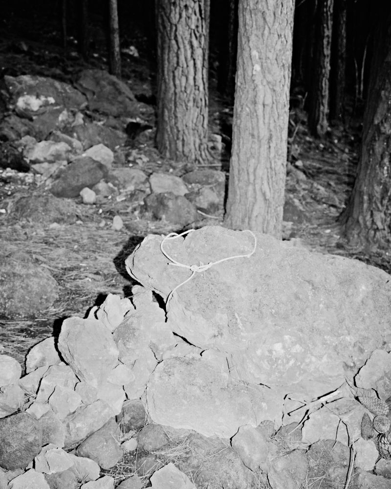 © Jordan Madge - Image from the Red Herring  photography project