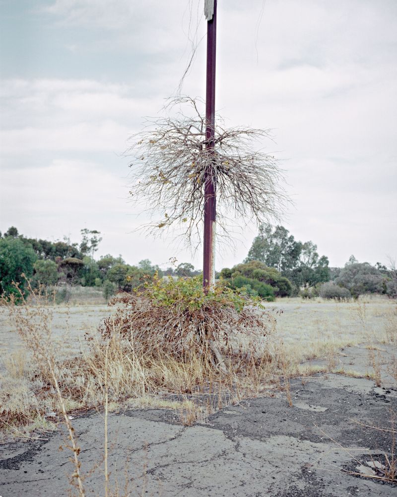 © Jordan Madge - Image from the Red Herring  photography project