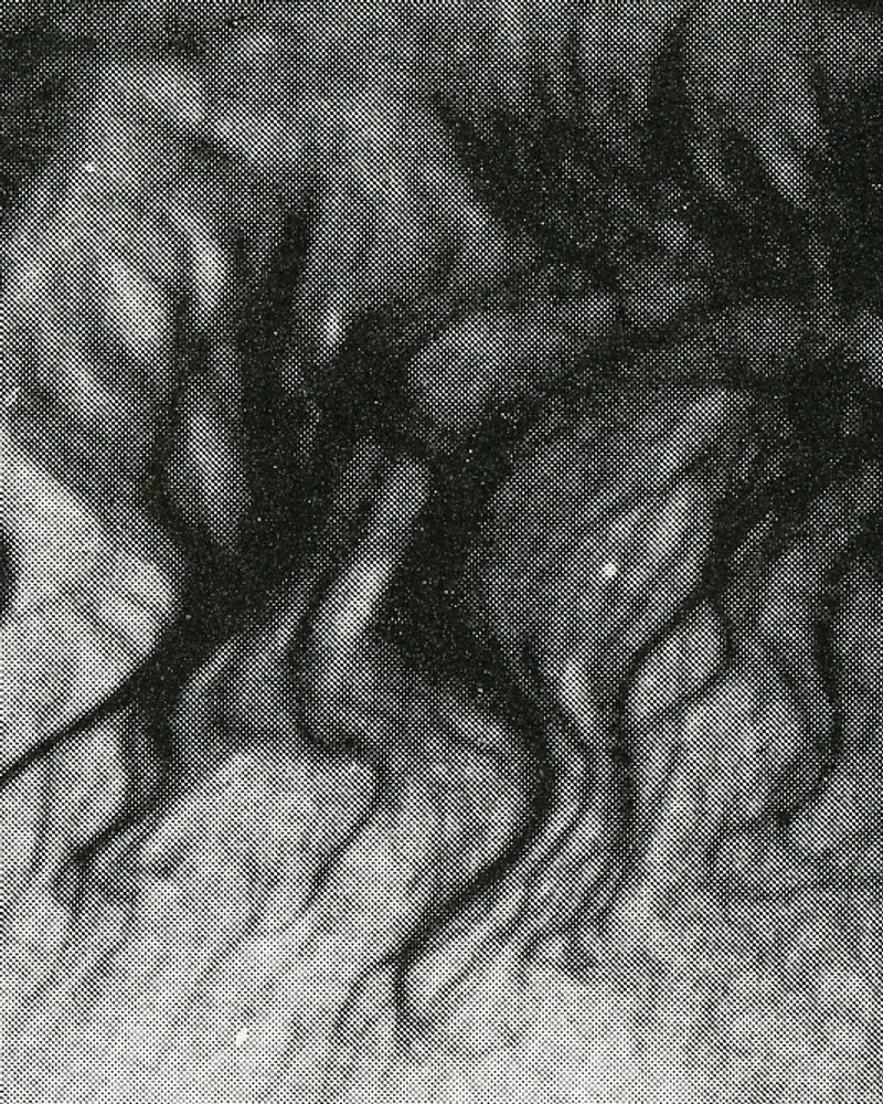 © Jordan Madge - Image from the Red Herring  photography project