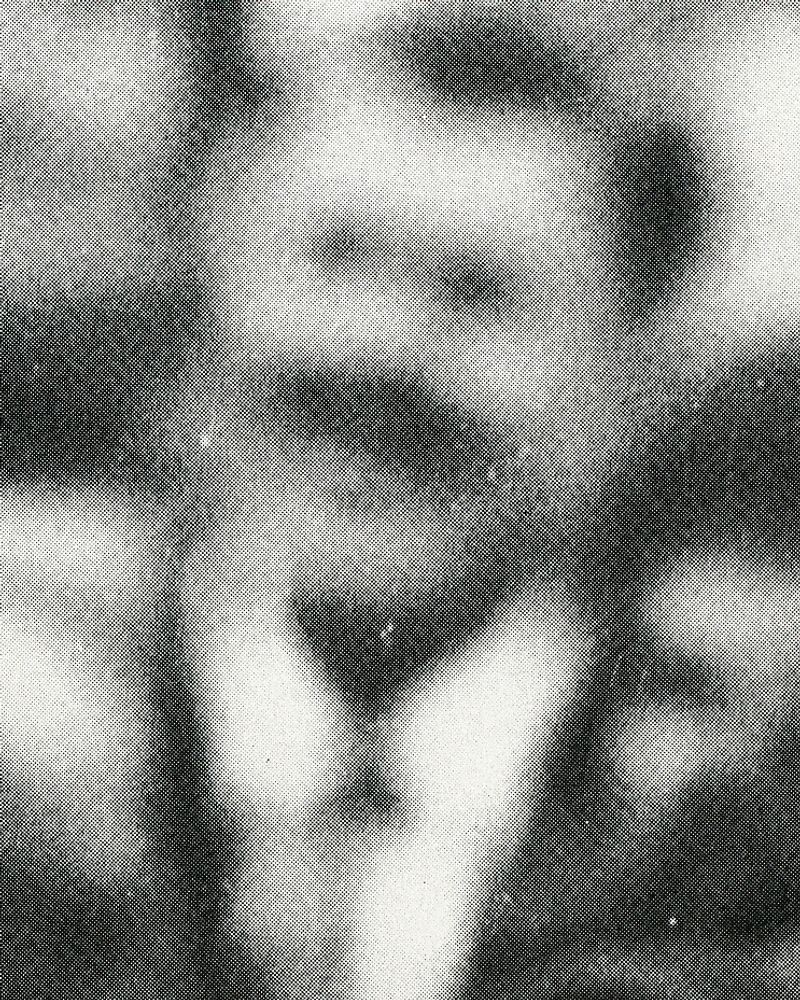 © Jordan Madge - Image from the Red Herring  photography project