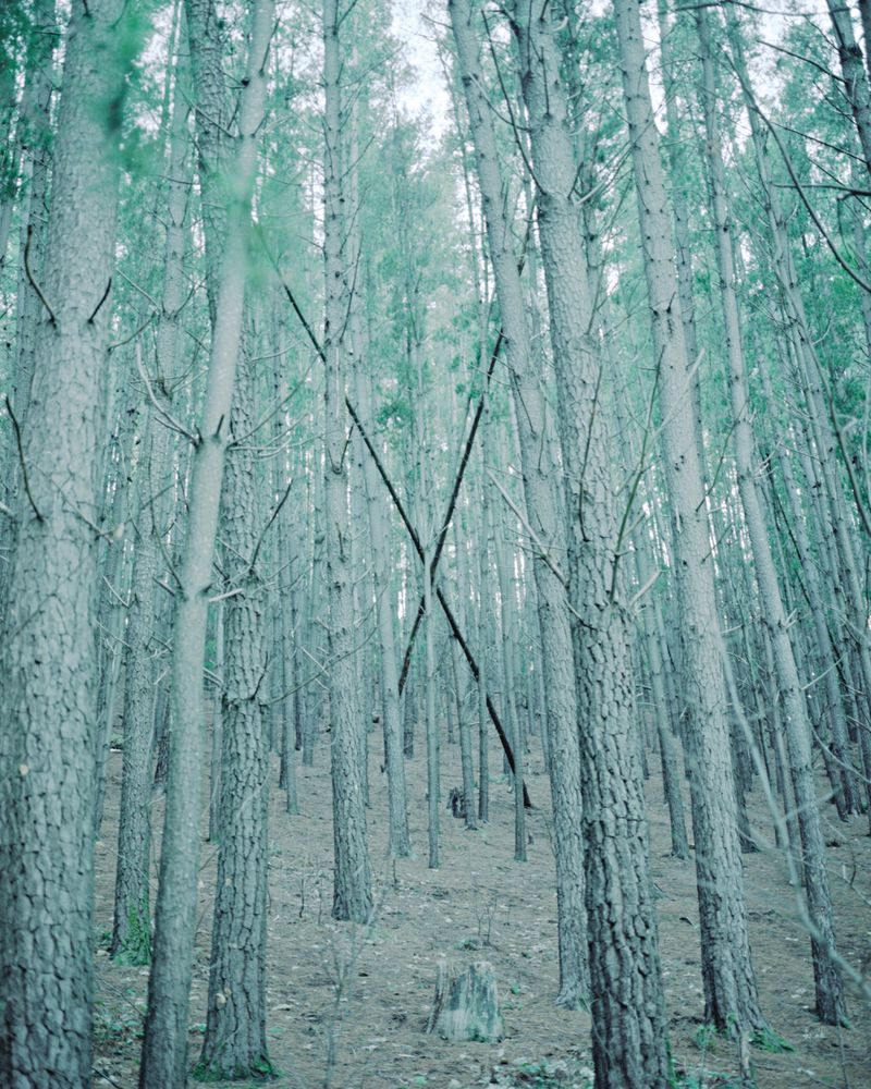 © Jordan Madge - Image from the Red Herring  photography project