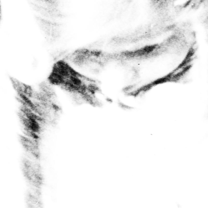 © Jordan Madge - Image from the Elysian Fields photography project