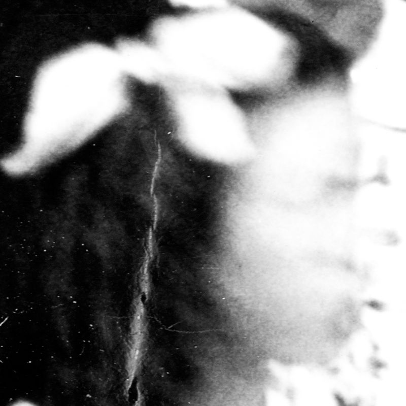 © Jordan Madge - Image from the Elysian Fields photography project