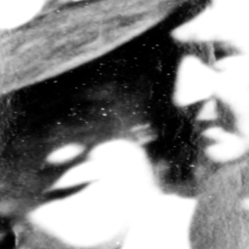 © Jordan Madge - Image from the Elysian Fields photography project