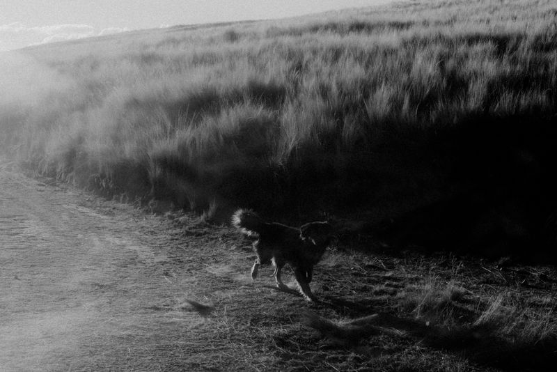 © Fernando Criollo - Image from the Summits and Ashes photography project