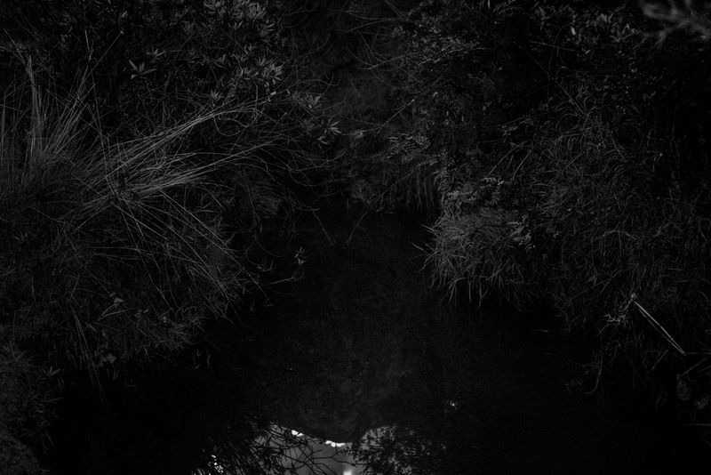 © Fernando Criollo - Image from the Summits and Ashes photography project