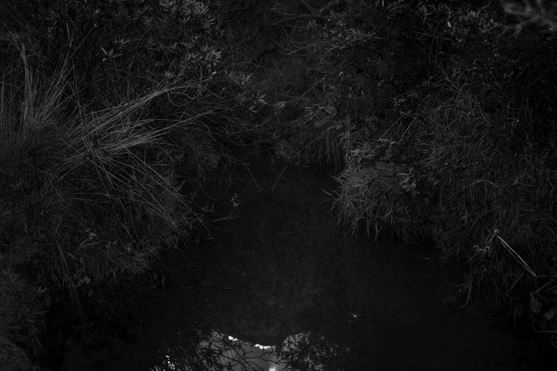 © Fernando Criollo - Image from the Summits and Ashes photography project