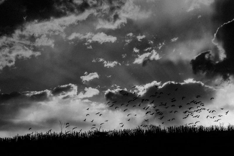 © Fernando Criollo - Image from the Summits and Ashes photography project