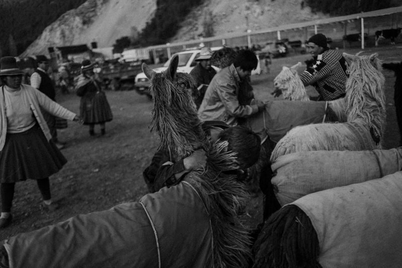 © Fernando Criollo - Image from the Summits and Ashes photography project