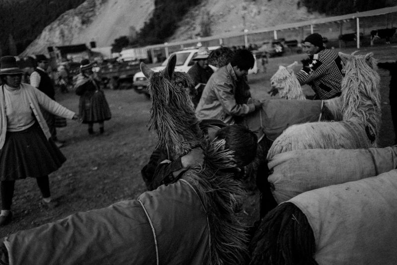 © Fernando Criollo - Image from the Summits and Ashes photography project