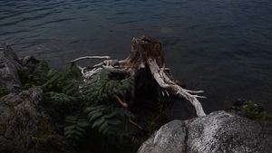 Borders are not where we think they are.