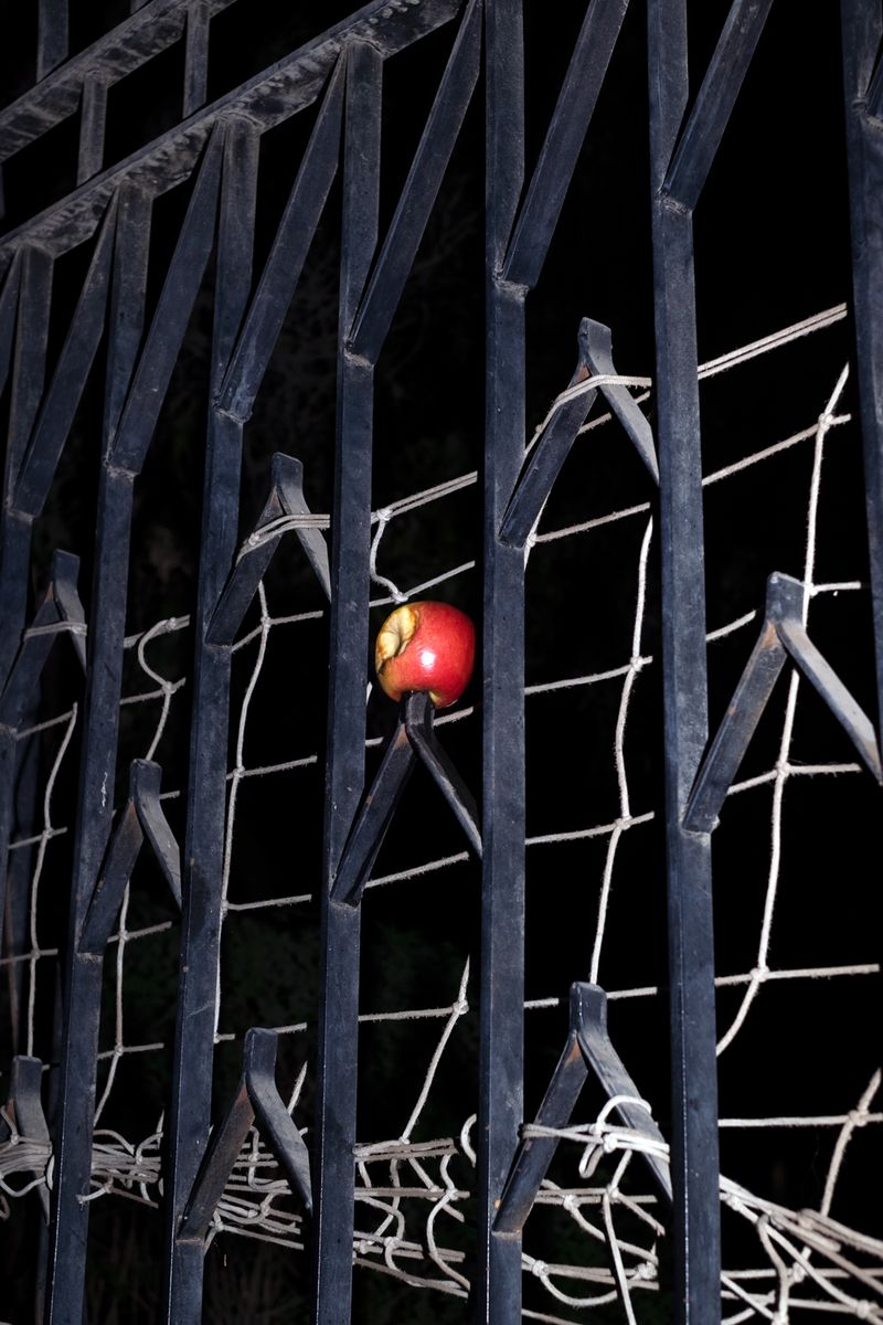 © Najla Said - Image from the Garden of Cairo photography project