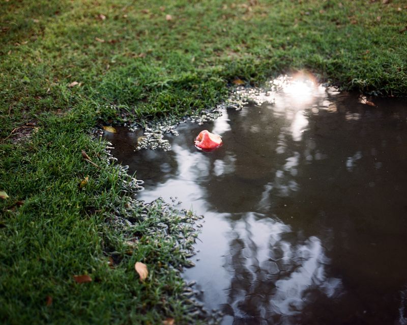 © Najla Said - 30°03'05.0"N 31°13'18.8"E