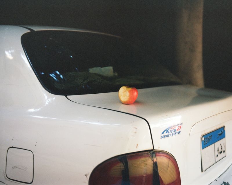 © Najla Said - Image from the Garden of Cairo photography project