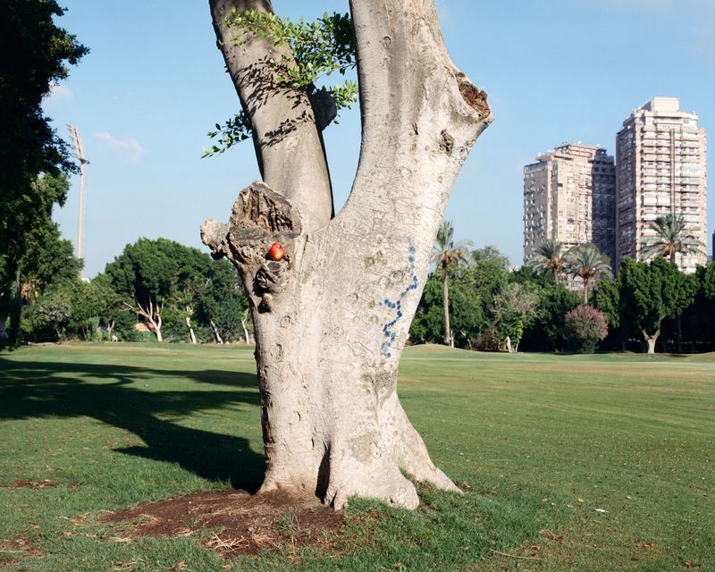 © Najla Said - 30°03'05.0"N 31°13'18.8"E