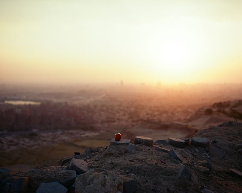 © Najla Said - Image from the Garden of Cairo photography project