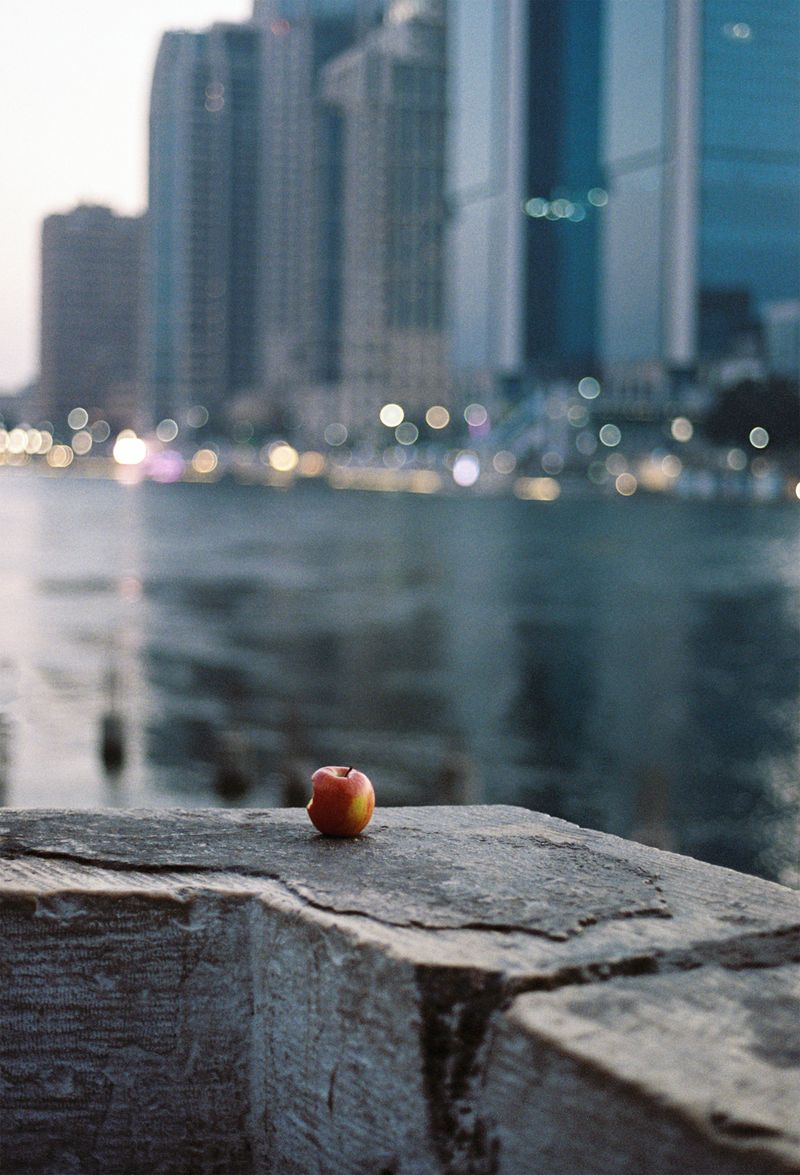 © Najla Said - Image from the Garden of Cairo photography project