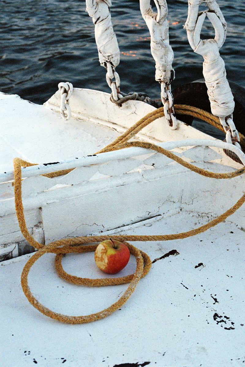 © Najla Said - Image from the Garden of Cairo photography project