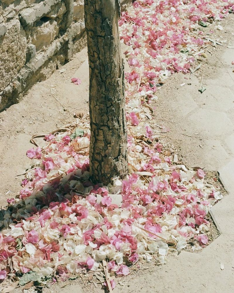 © Najla Said - Image from the Ebb & Flow photography project