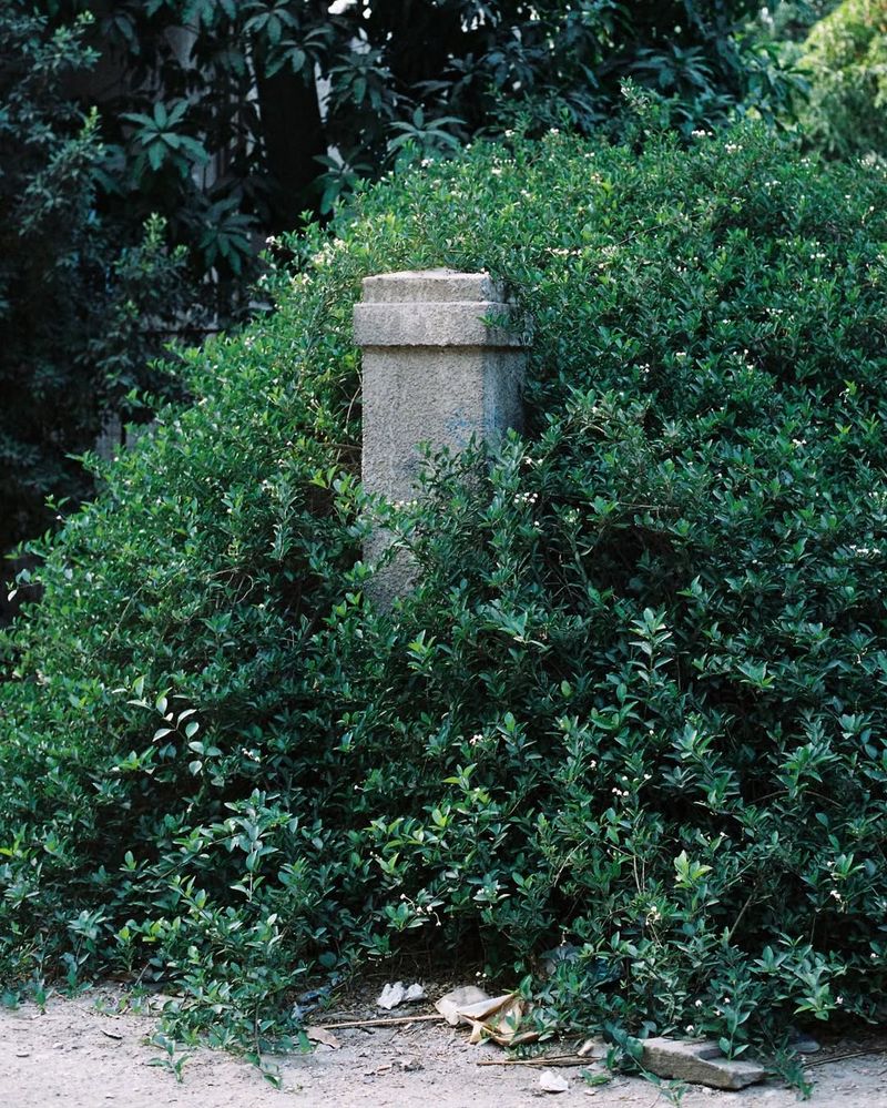 © Najla Said - Image from the Ebb & Flow photography project