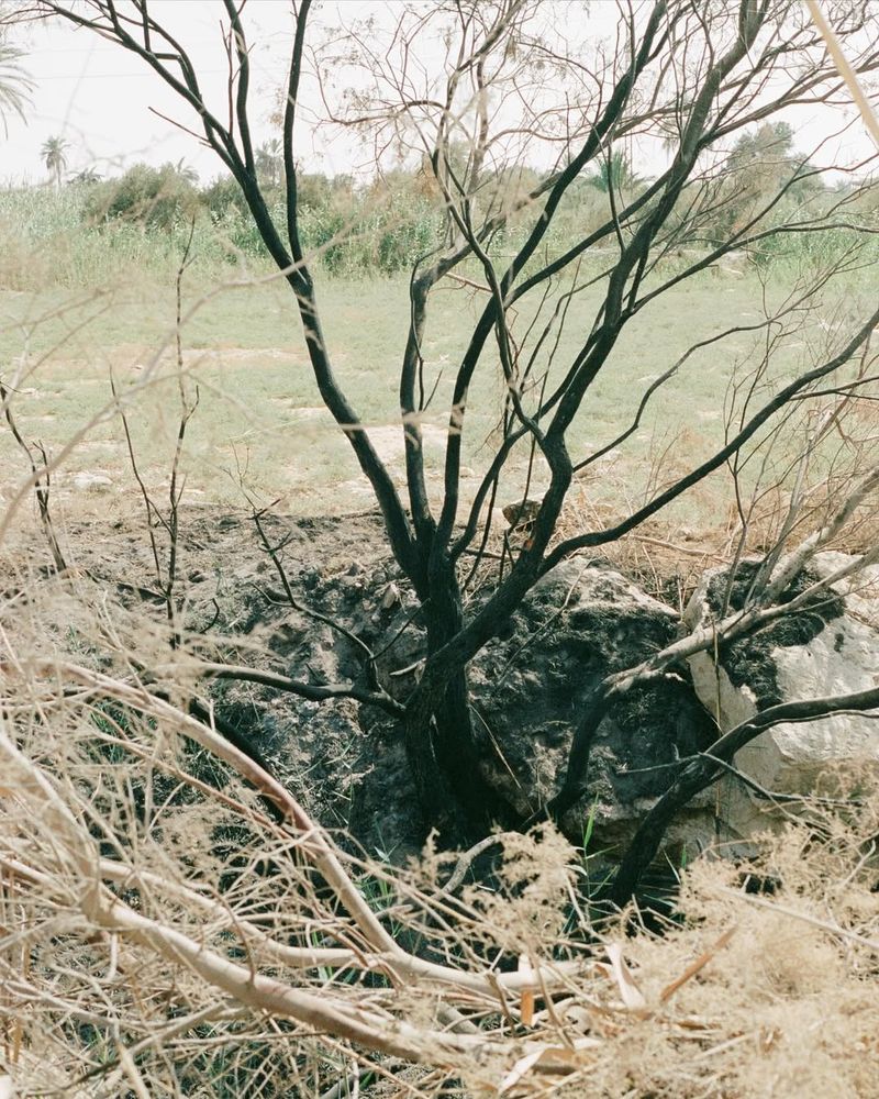 © Najla Said - Image from the Ebb & Flow photography project