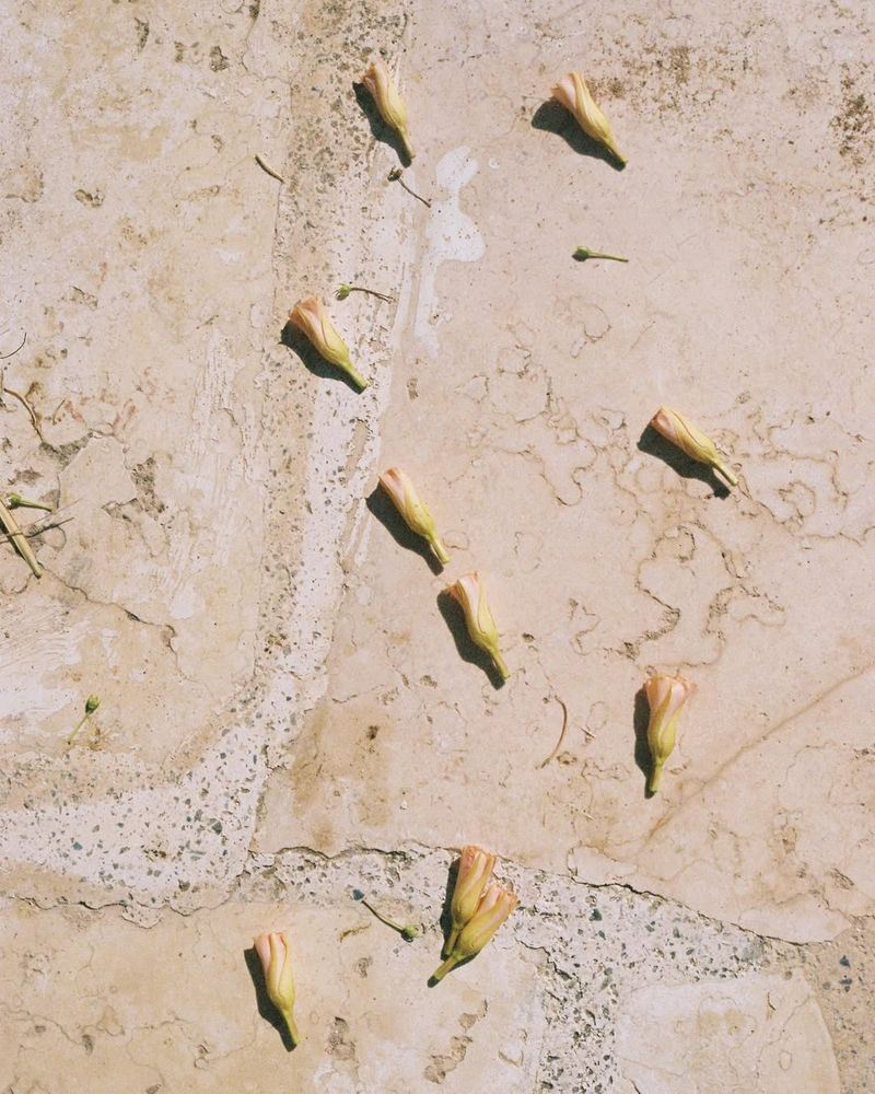 © Najla Said - Image from the Ebb & Flow photography project