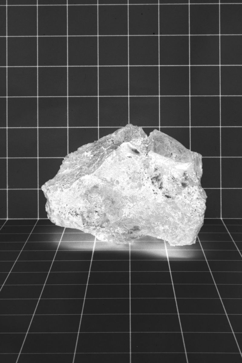 © sarah ritter - Archive, negative 35mm, 1964-2024