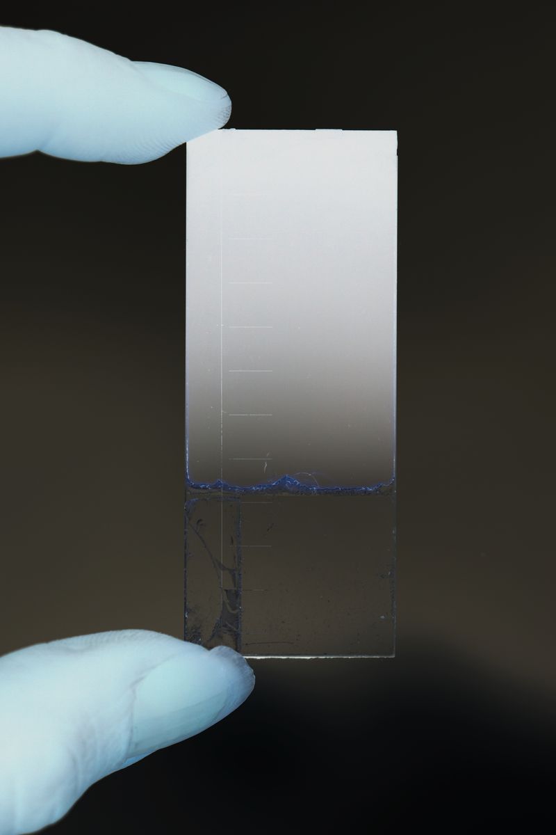 © sarah ritter - Scale, optic laboratory, 2019-2025