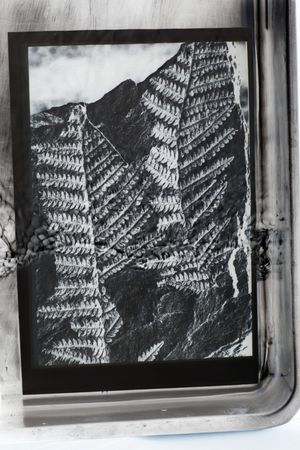 the earth does not exist