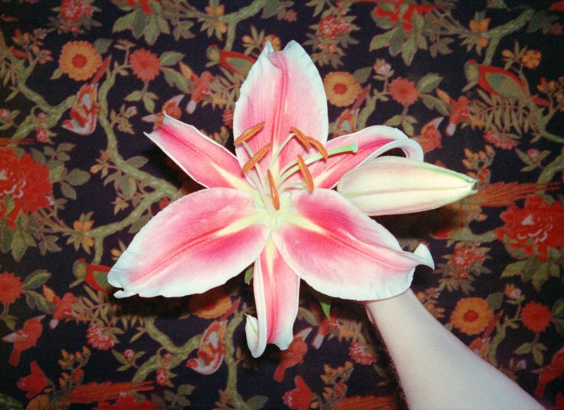 © Matilde Søes Rasmussen - Image from the Unprofessional photography project