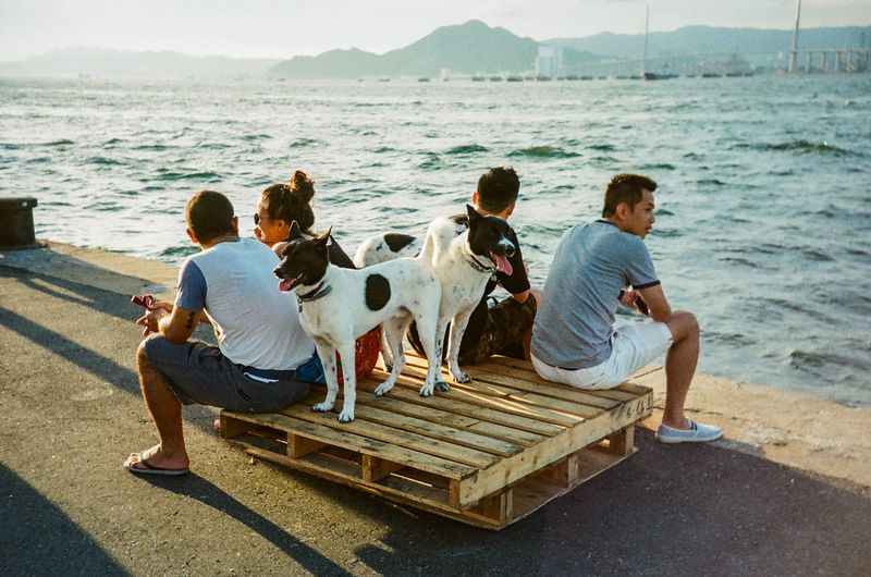 © Wei Him Wong - Image from the Hong Kong, hope finds you well photography project