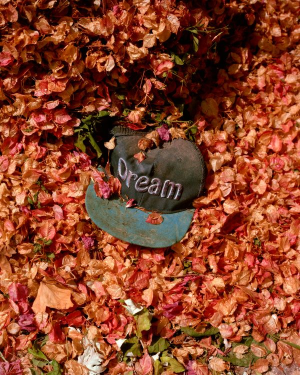 © Sander Coers - Image from the Blue Mood (Al Mar) photography project