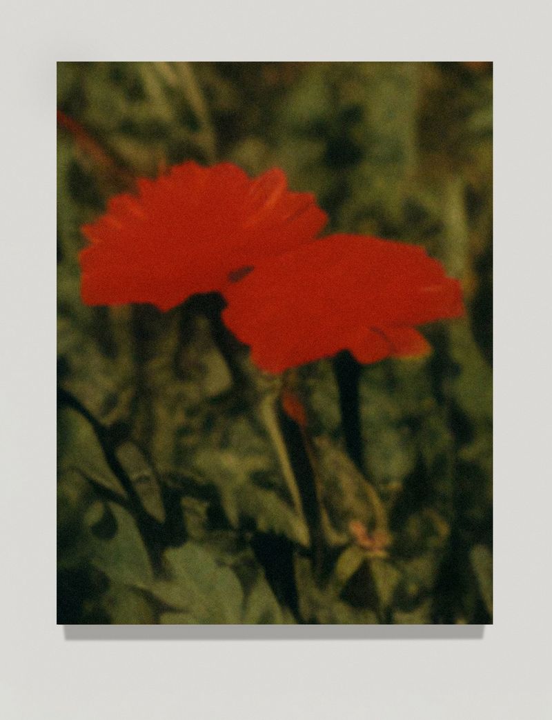 © Sander Coers - It Was Beautiful - 2024 - UV Print on Plywood