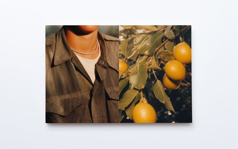 © Sander Coers - A Secret Feeling Of Bliss - 2024 - UV Print on Plywood