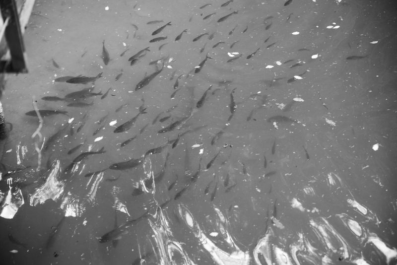 © ALLISON - Image from the "Since the first day" photography project