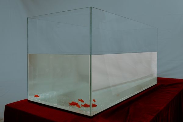 © ALLISON - Image from the 7X7=49 photography project