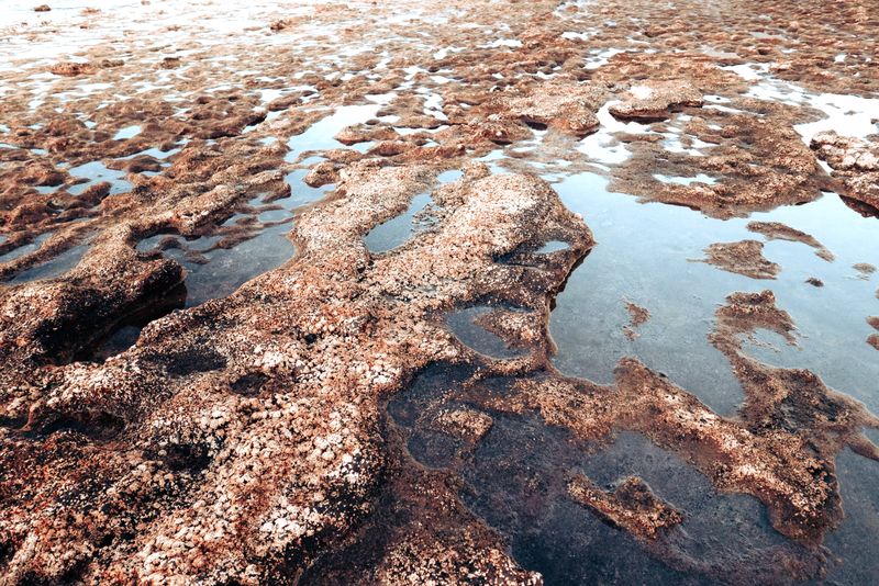 © ALLISON - Image from the 7X7=49 photography project