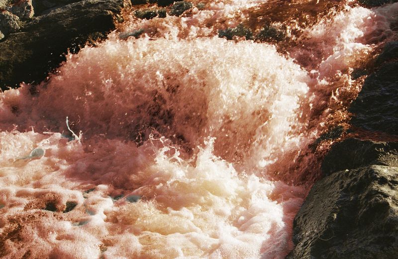 © ALLISON - Image from the 7X7=49 photography project