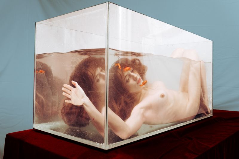 © ALLISON - Image from the 7X7=49 photography project