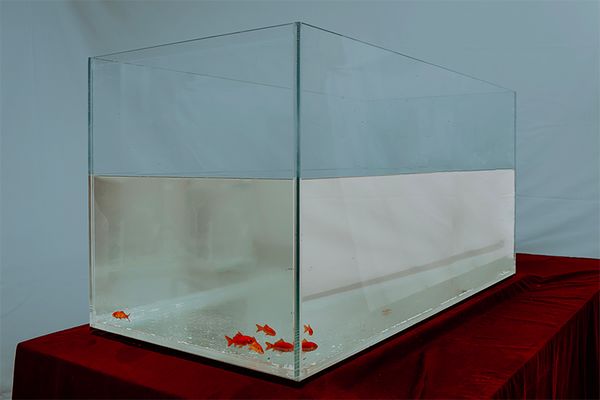 © ALLISON - Image from the 7x7=49 photography project