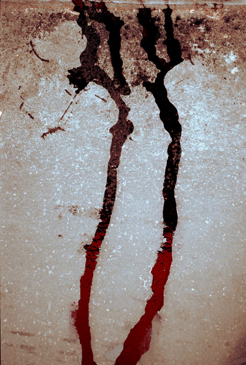 © ALLISON - Image from the 7x7=49 photography project