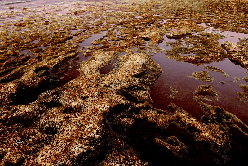 © ALLISON - Image from the 7x7=49 photography project