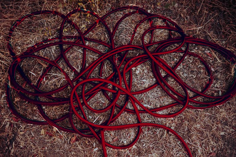 © ALLISON - Image from the 7x7=49 photography project