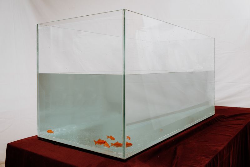 © ALLISON - Image from the 7x7=49 photography project