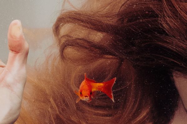 © ALLISON - Image from the 7x7=49 photography project