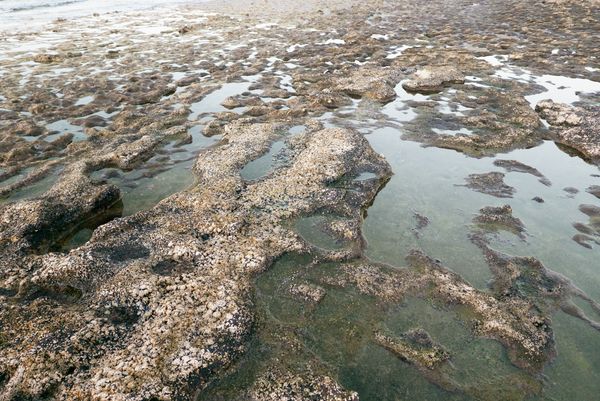 © ALLISON - Image from the 7x7=49 photography project