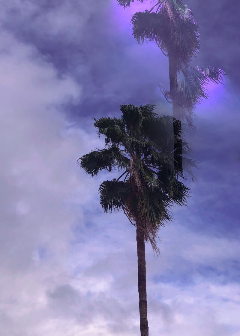 © Gedma Estrada - Image from the Tell me about a time you felt like you were dreaming. photography project