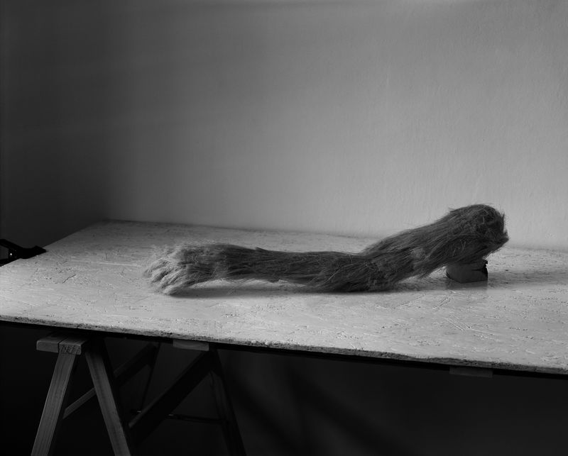 © Michał Bugalski - Image from the It is not difficult at all photography project