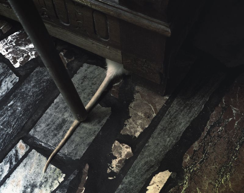 © Michał Bugalski - Image from the Shifting and Confused Gusts of Memory photography project